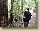 Hiking-Woodside-Jan2012 * 3648 x 2736 * (5.39MB)
