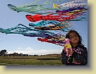 Saachi-Kite-Festival-Jul09 * 768 x 576 * (444KB)
